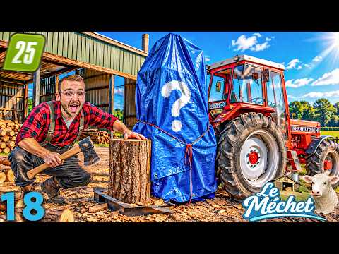 THE GLITCHIEST MOD EVER! ARE WE ENDING THE SERIES?! 😱 | LE MECHET #18 | Farming Simulator 25