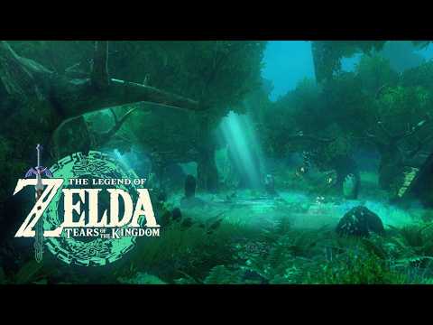 🌙 Korok Forest Night｜Sleep & Study Ambience｜Zelda Tears of the Kingdom｜Relaxing BGM