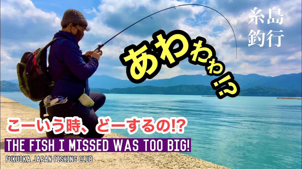 【福岡釣部 in 船越漁港】105 English.sub あわわ!? こんな時どーするの？糸島の漁港でヘチ釣りを楽しむ♪福岡釣部Fukuoka Japan Fishing Club in 船越・野北