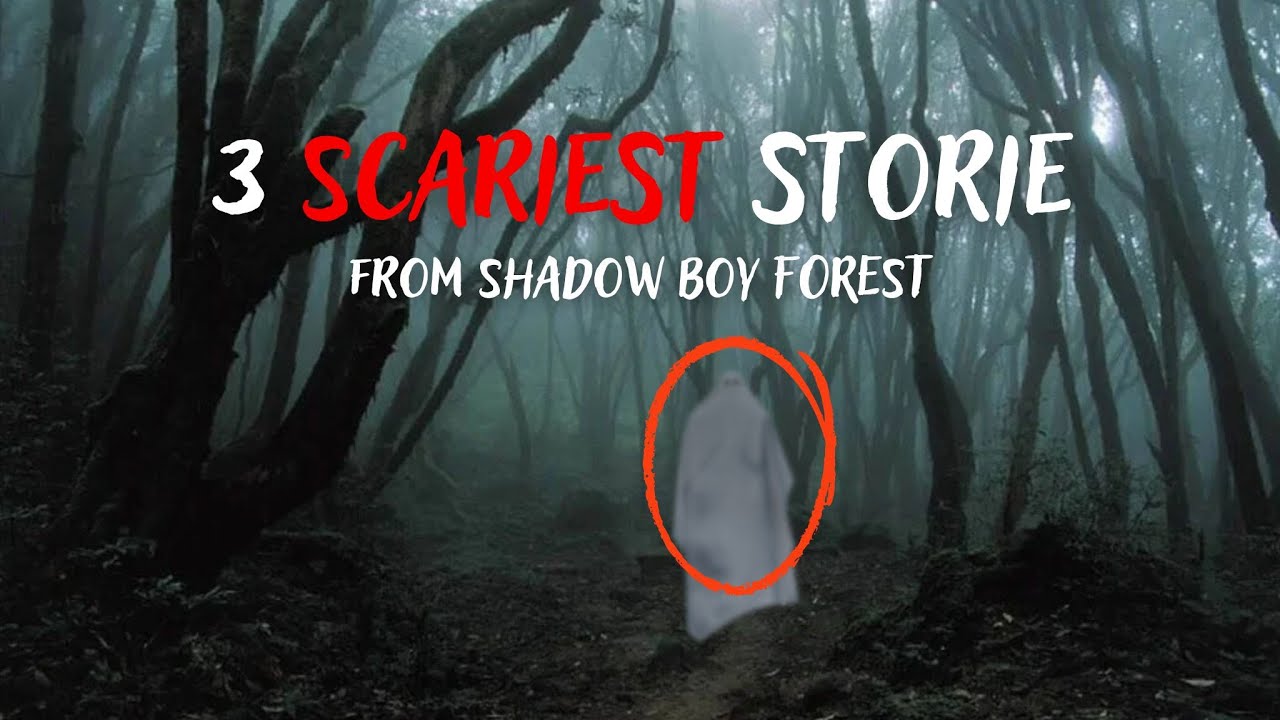 3 True Stories from Shadow Boy Forest