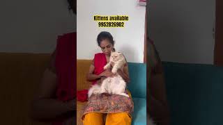 Time La Cat Epadi Maintain Panrathu