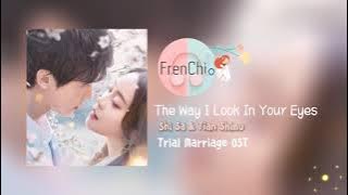 The Way I Look In Your Eyes - Shi Sa & Tian Shimu (Trial Marriage OST)