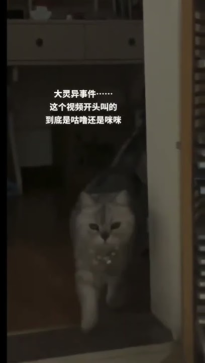 [閒聊] !! 你們聽到的是咪咪還是咕嚕？