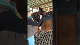 How To Rig Your Saddle With A Center Fire Rigging Net Worth