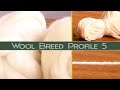 Hand Spinning Different Breeds: Falkland Wool *Naturally So White!*