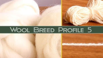 Hand Spinning Different Breeds: Falkland Wool *Naturally So White!*
