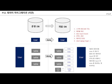 #12 [Oracle] 오라클 DB 마이그레이션 (이관) 하면서 배운것에 대한 이야기