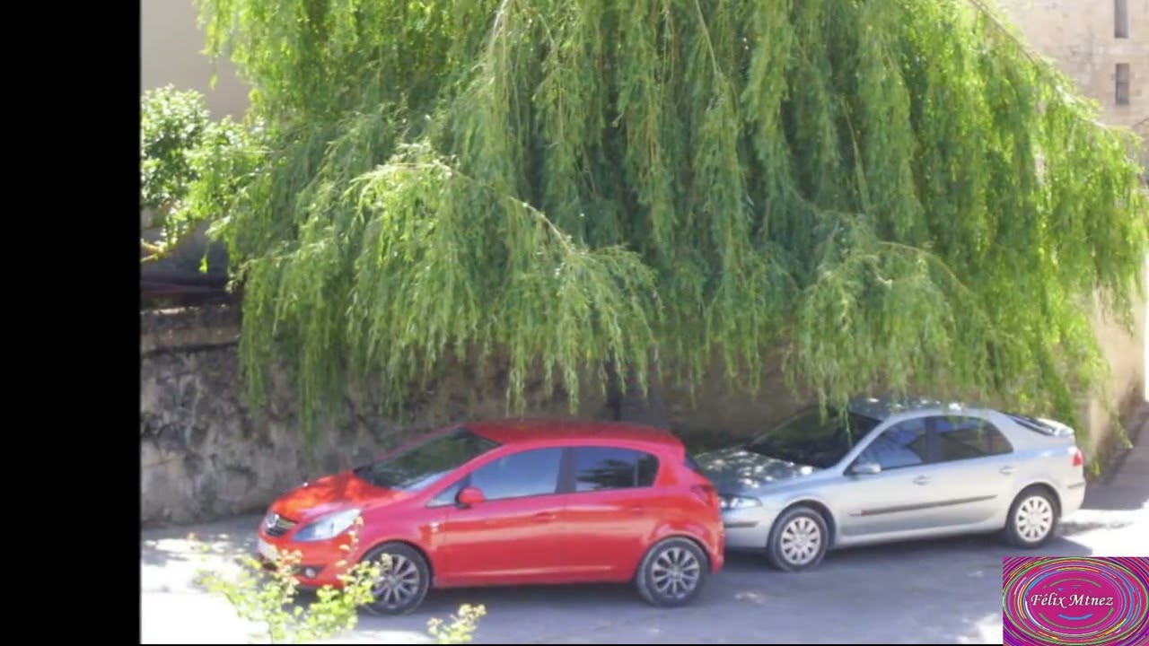 LODOSO fotos varios años   HD