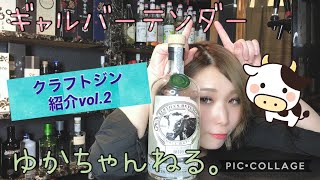 クラフトジン紹介vol.2　「バーサスリベンジ」