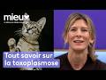 Il va falloir vous séparer de votre chat ! - Mieux avec eux