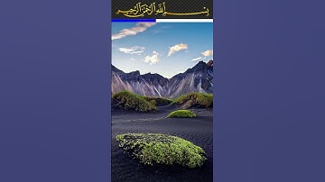 سورة المؤمنون - الشيخ محمد محمود الطبلاوى
