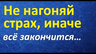 Не нагоняй страх, иначе всё закончится плачевно. Русалочья неделя