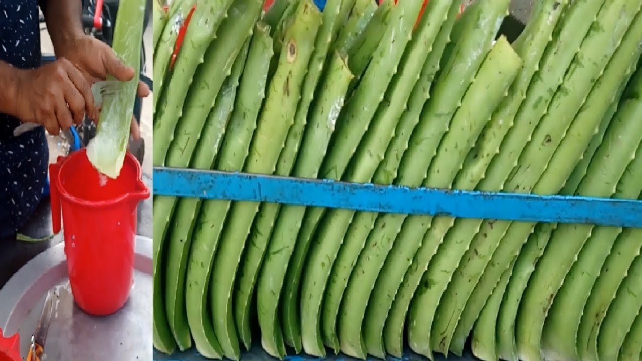 How To? Only Aloe Vera Juice Bengali Street Food Aloe vera Sharbat