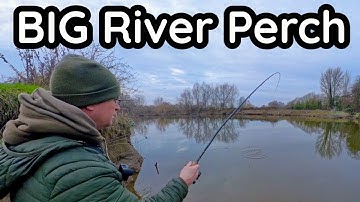 The QUEST for a RIVER Severn 3lb+ PERCH on the FLOAT..