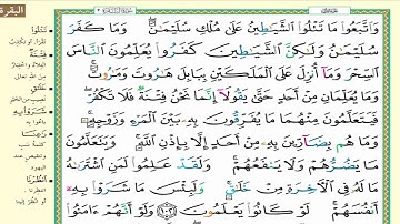 اقوي آية  مبطلة للسحر تلاوة لآية تزلزل الشياطين  للشيخ ناصر ناصر القطامي