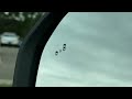 New 2026 Ford Bronco Sport Taylor MI Southgate, MI #TRE65964