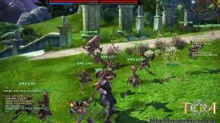 TERA CBT3 (Korea) Human Berserker gameplay
