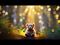 Relaxation - Peaceful Music &amp; Sounds