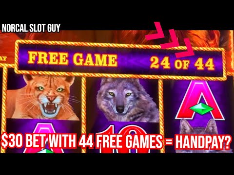HIGH LIMIT BUFFALO LINK JACKPOT HAND PAY @ Graton Casino | NorCal Slot Guy