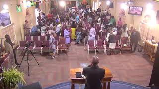 DDWC Live