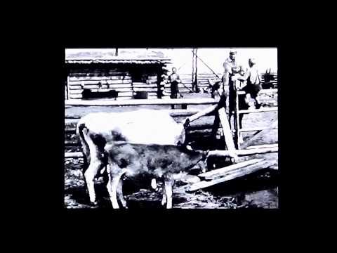 Fotomat Video "Stop Copy" Demonstration
