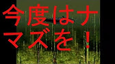 川のぬし釣り秘境を求めて Youtube