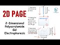 2D polyacrylamide gel electrophoresis : 2D PAGE