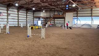 Paddy 109749 Jumpers Pii Module 1 12220