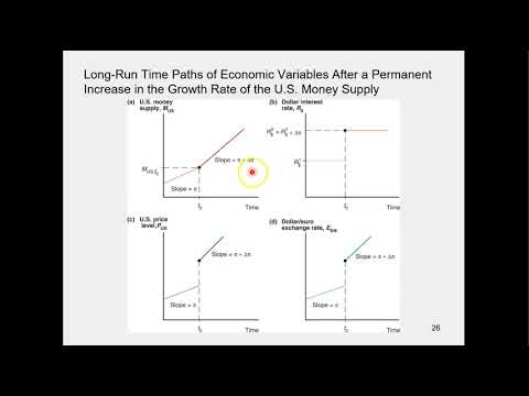 1607 Long Run Paths of Interest Rate and Exchange Rate