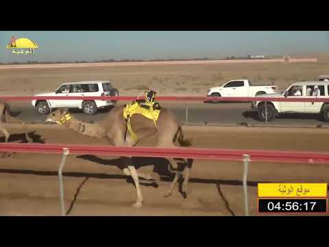 الشوط 8 سياف ل محمد علي سالم المنصوري 7 45 شارة الاتحاد 2020 10 17 سويحان ايذاع