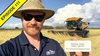 Rice Harvest! Lettuce Harvest! Tomato Harvest! And More! | 2019 California Tractor Videos
