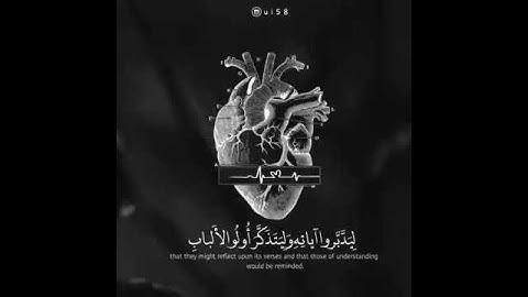 ارح مسمعك بآيات من القران الحكيم