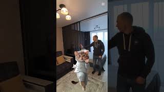 никого не хочу обидеть, но лучший алюминиевый профиль у меня #wood #дизайнгостиной #woodworking