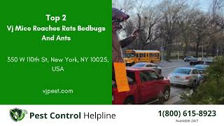 Top 3 Pest Control in Lakeside