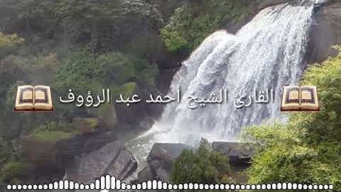 تلاوه عذبه القارئ، الشيخ احمد عبد الرؤوف
