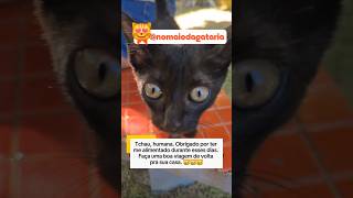 Ele me escolheu e eu não pude dizer não! 🐾❤️