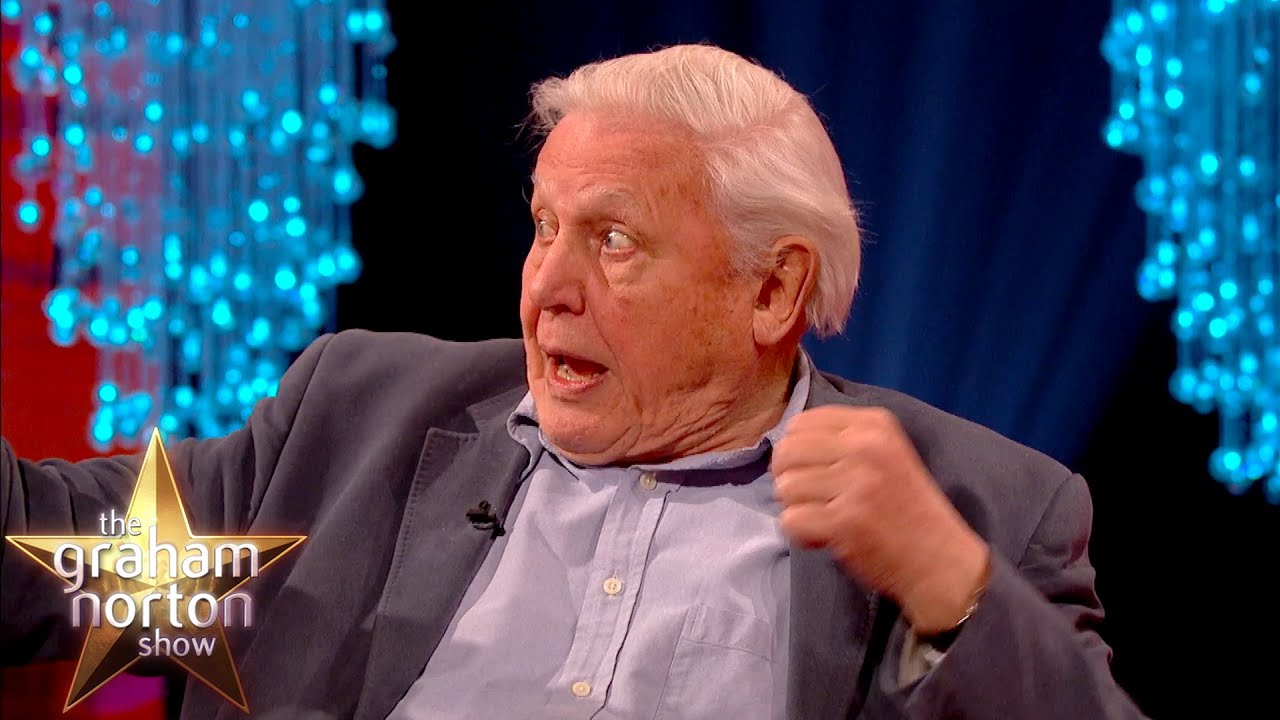 official secrets David Attenborough Hit In The Face By A Bat! - The Graham Norton Show
