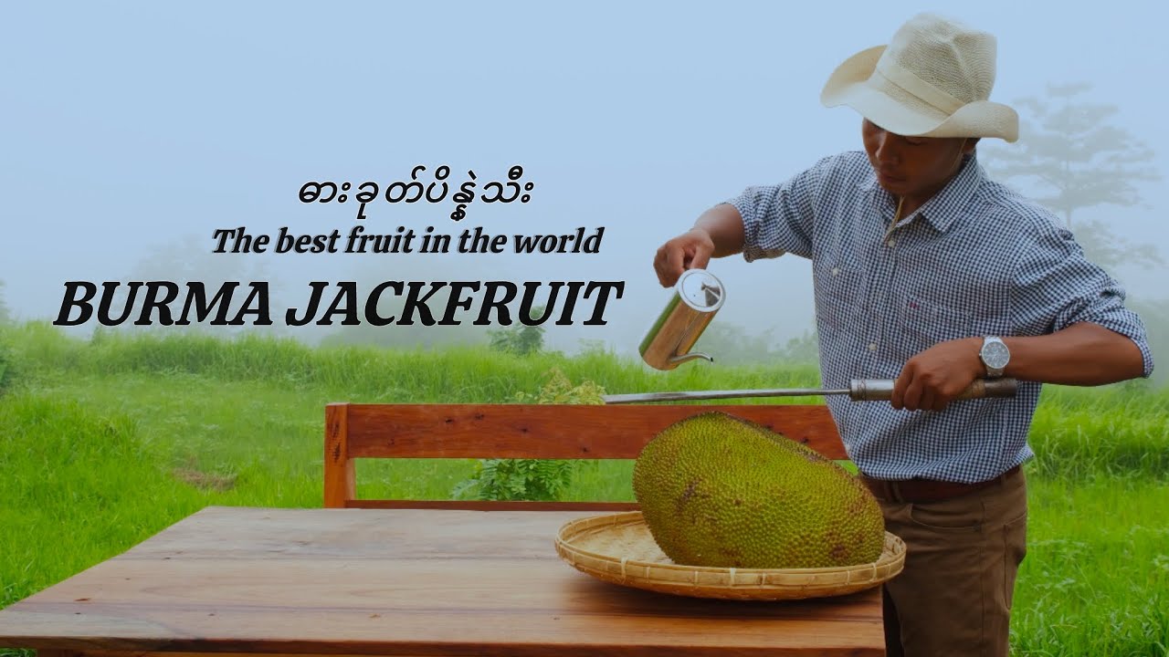 Gathering Beauty, Living Simply – A Day Under the Sun