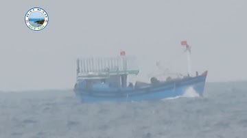 Ghe Lưới Rút vượt sóng dữ