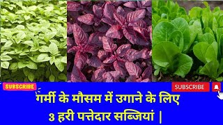 गर्मी के मौसम में उगाने के लिए टॉप 3 हरी पत्तेदार सब्जियां | Top 3 Green Leafy Vegetables To Grow