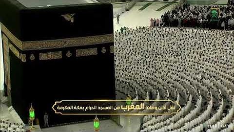 ماتيسر من سورة فصلت لـ فضيلة الشيخ #فيصل_غزاوي من صلاة المغرب ٢٣ جمادي الأول ١٤٤٤هـ