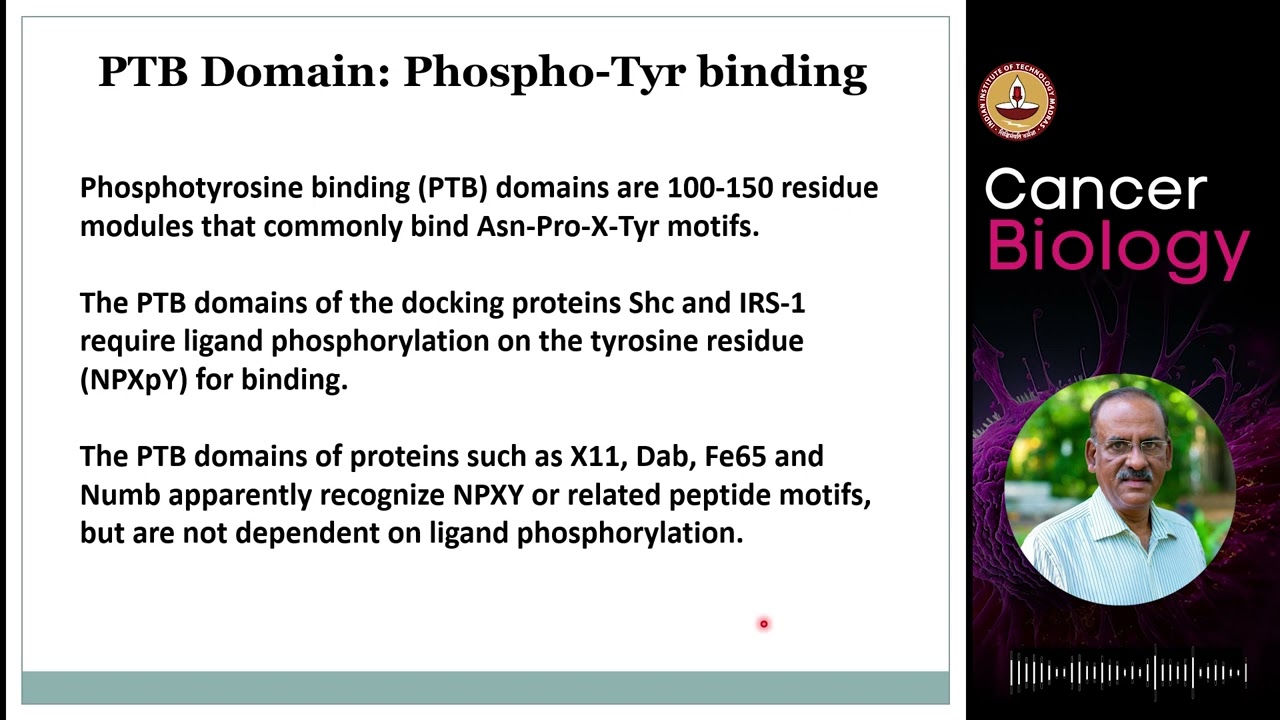Signal transduction  Part 02