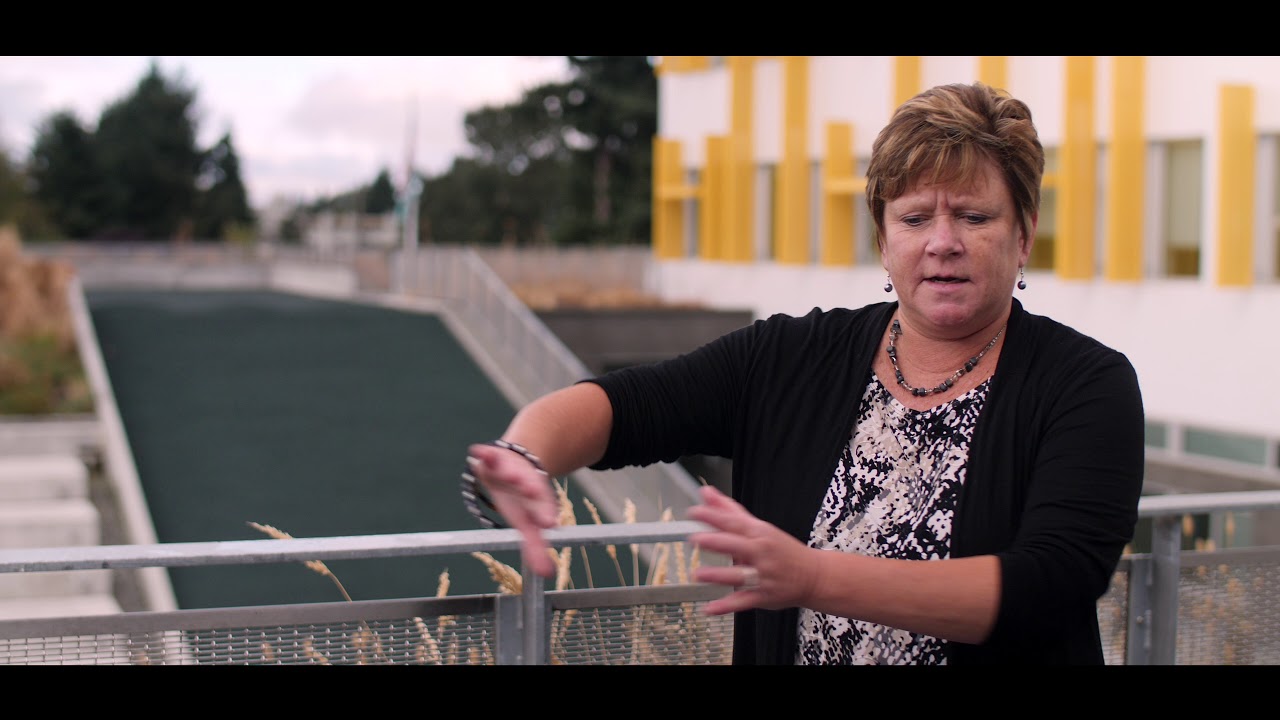 Hazel Wolf: E-STEM K-8 School