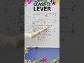 Class II Lever: Machines & Live Examples 🔧