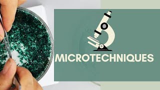 Plant Microtechniques
