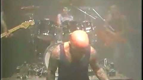Rose Tattoo - Scarred For Life
