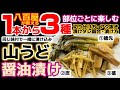 1本で3種の味わい！なんてお得な野菜!?【山うど醤油漬け】基本のアク抜き・切り分け方法まで八百屋解説！画期的山ウドレシピ‼下処理・下ごしらえ・漬け方・食べ方アレンジ・一番人気・天ぷら・キンピラ・酢味噌