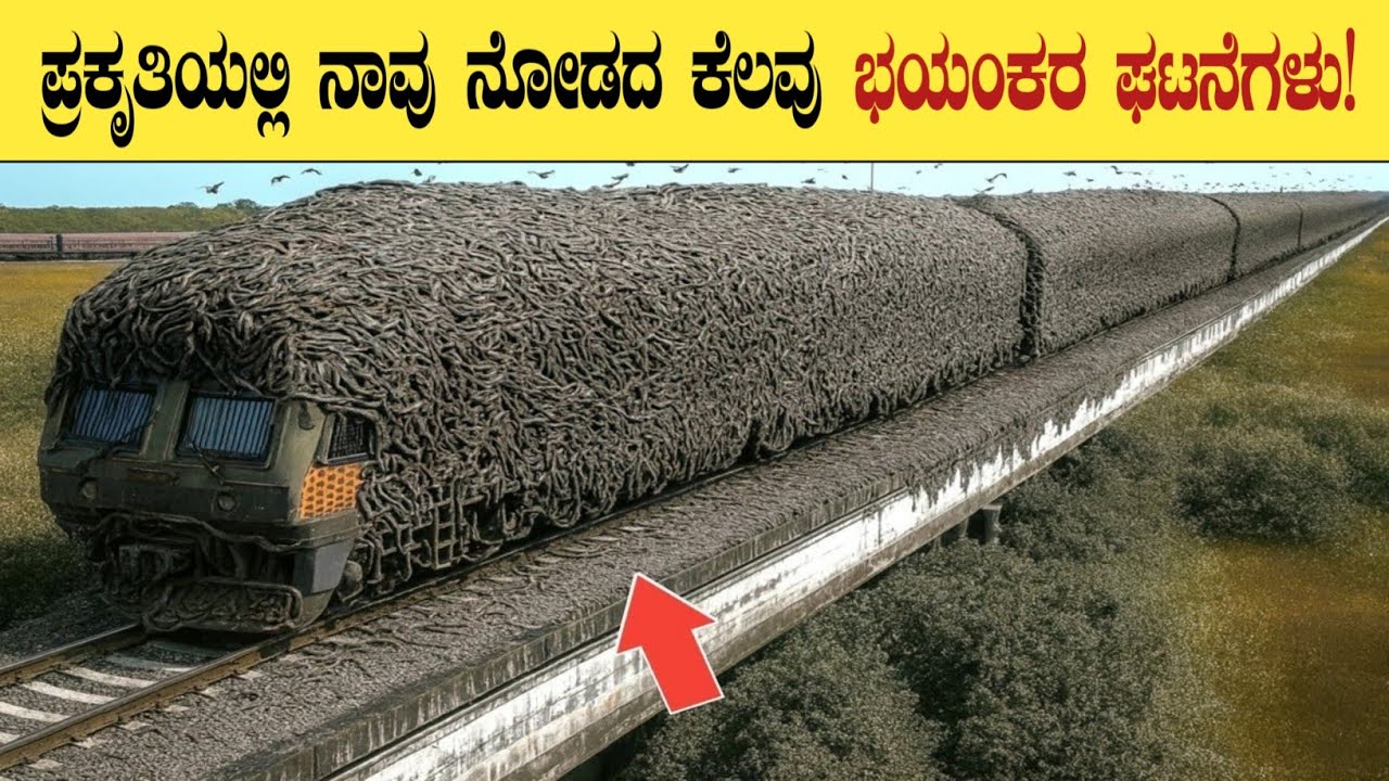 Amazing Animal Moments in Nature | Top 10 Unbelievable Moments of Animals | Think Forever 