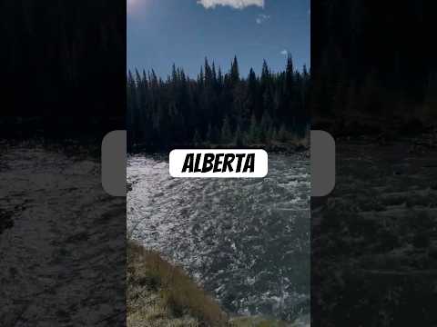 Walking With A Rifle in Alberta????????????