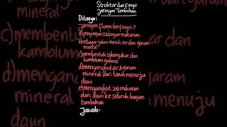 Jaringan floem berfungsi .... A. penyimpan... | Biologi Kelas 1 | Kelas 11 | 2 | Biologi